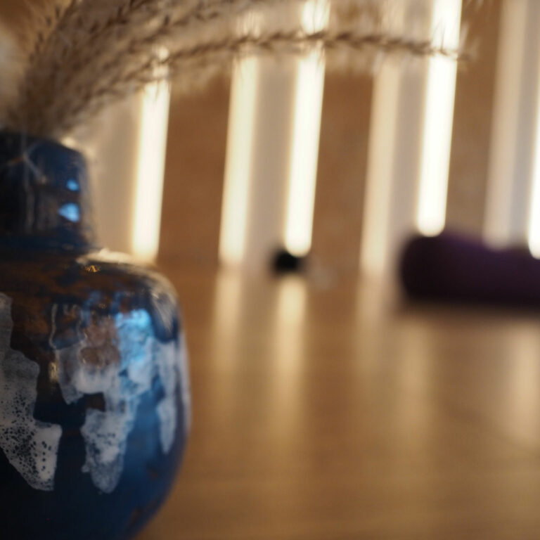 Sur Le Fil, centre de Yoga à Castelnau